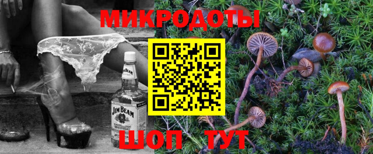 Галлюциногенные грибы Cubensis Зеленодольск
