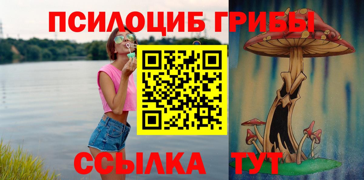 Псилоцибиновые грибы GOLDEN TEACHER  Вход с VPN  Зеленодольск  Псилоцибиновые грибы GOLDEN TEACHER 